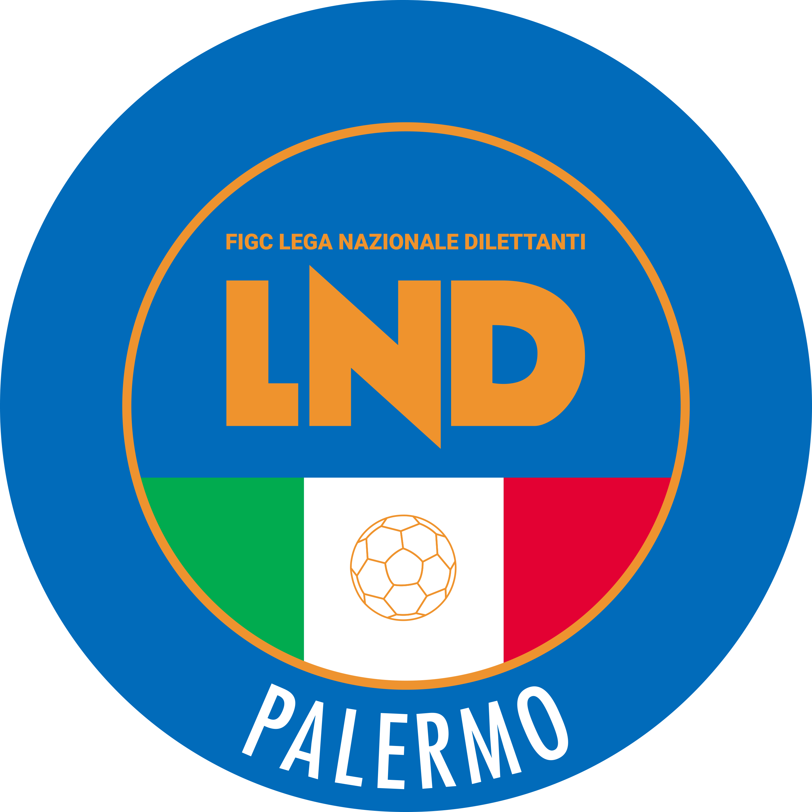 LND DP Palermo