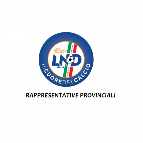 rappresentative